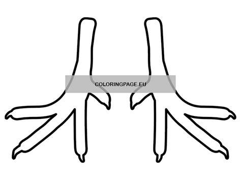 Turkey Feet Pattern | Coloring Page