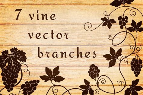 Decorative Vine Branches | Illustrator Graphics ~ Creative Market