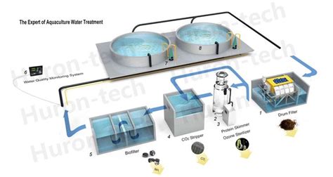 Ras Indoor Fish Farming Equipment High Density Fish Farming Solution ...