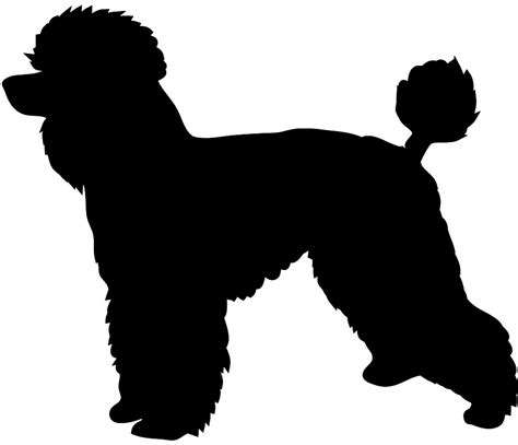 Free Standard Poodle Silhouette, Download Free Standard Poodle ...