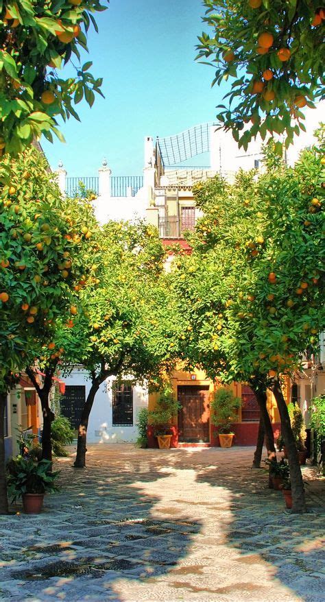 Sevilla....orange trees everywhere #Spain en 2019 | Sevilla españa ...