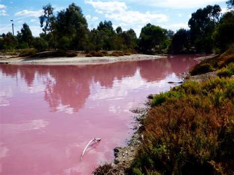 How To See the Pink Lake in Melbourne and How to Get There - Universal ...