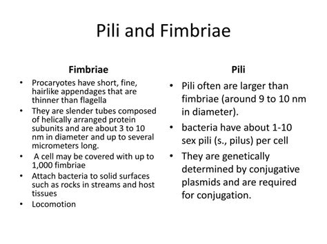 PPT - Prokaryotic Cell Structure and Function PowerPoint Presentation ...