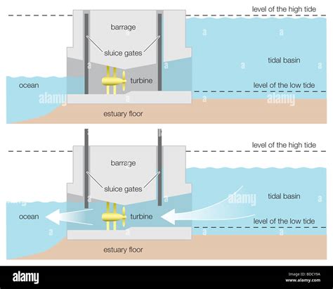 Tidal Energy Plant Diagram