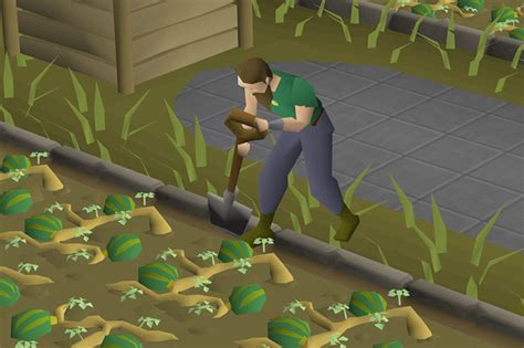 How To Make Supercompost (OSRS Guide) – FandomSpot