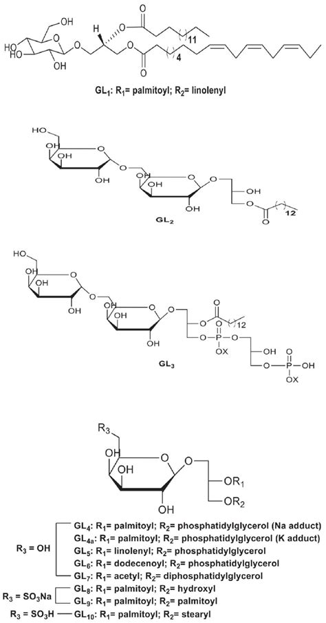 Structures of Glycerolipids GL1-10 identified in plant of Sesuvium... | Download Scientific Diagram