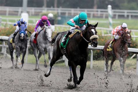 Zenyatta's trainer glad she enters Hall with Rachel | Zenyatta horse, Horses, Thoroughbred horse ...