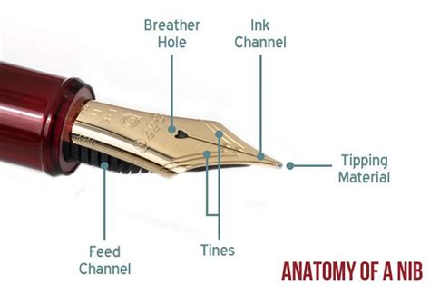 Fountain Pens 101: An Introduction To Fountain Pens