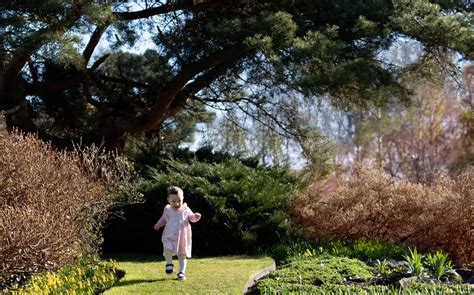 Royal Botanic Garden Edinburgh Glasshouses Restoration