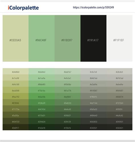 420+ Latest Color Schemes with Desert Storm Color tone combinations | 2023 | iColorpalette