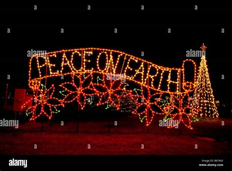 Christmas decoration lights Peace on Earth Sign in light at night poinsettias christmas tree ...