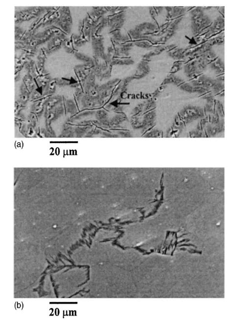 SEM observation of filiform-type corrosion that developed in the 99.95%... | Download Scientific ...