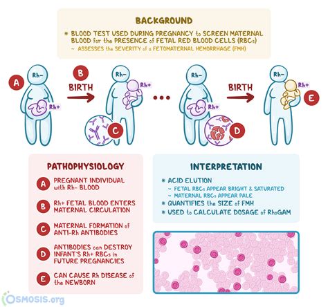 immediate care red bank antibody test - You Did It That Time Website Image Library