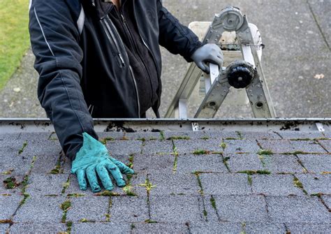 4 Best Roof Cleaning Products | Eagle Eye Roofing