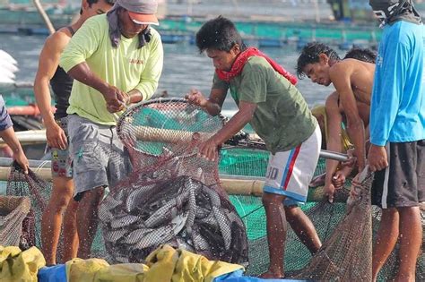 Fisherfolk to Duterte: Help us protect Tañon Strait | The Freeman