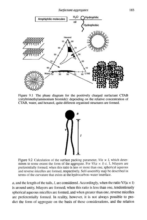 CTAB, structure - Big Chemical Encyclopedia