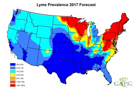 New Lyme disease forecast map targets rising tide of ticks