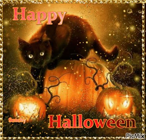 Black Kitty Happy Halloween Gif Pictures, Photos, and Images for Facebook, Tumblr, Pinterest ...