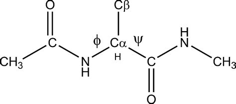 Structure Of Dipeptide