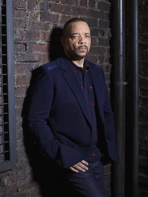 Law and Order: SVU - Season 19 Portrait - Fin Tutuola - Law and Order SVU Photo (40722478) - Fanpop