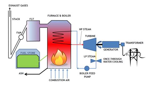 REPINT 5: Get 22: Biomass Energy Diagram Simple