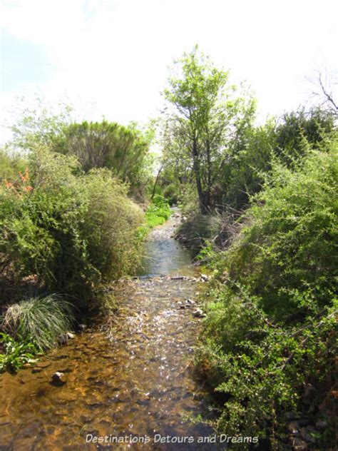 Gilbert Riparian Preserve | Destinations Detours and Dreams