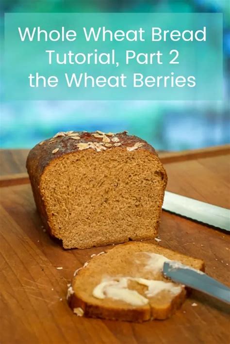 How to Make Homemade Whole Wheat Bread: the Wheat Berries - That Susan ...