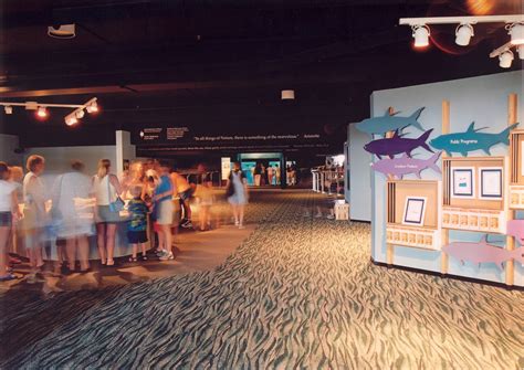 NC Aquarium at Fort Fisher by Big Sky Design