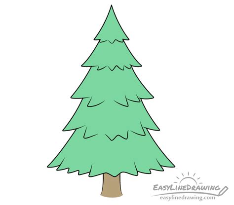 How to Draw a Pine Tree Step by Step - EasyLineDrawing