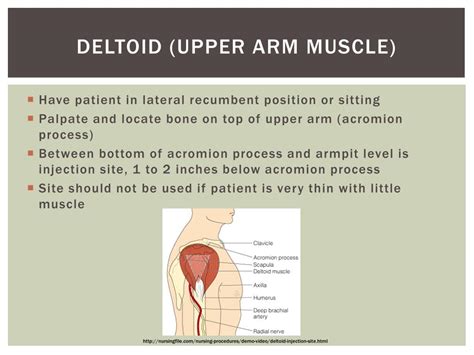 PPT - How To Give An Intramuscular Injection PowerPoint Presentation, free download - ID:2561680