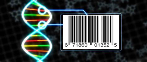 Plant DNA barcoding in the genomics era | Know Our Plants