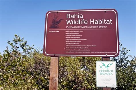 Bahia Wetlands - Marin Audubon Society