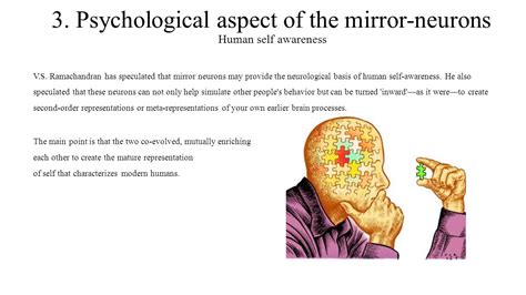 Mirror neurons definition psychology