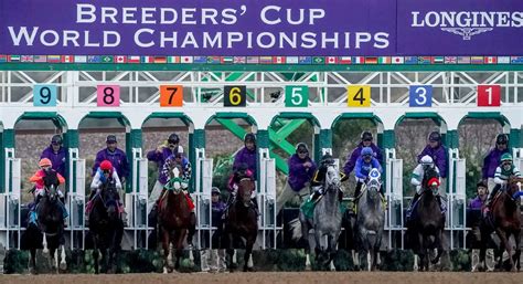 Breeders Cup 2024 Schedule Results - Tori Sharyl