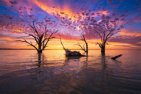 Lake Bonney, Barmera, South Australia | Amazing photography, Breathtaking places, Landscape ...