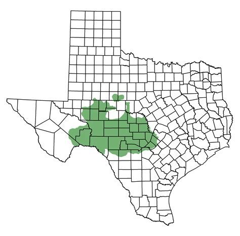 Edwards Plateau Ecoregion | Forage Fax