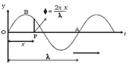 Wave Motion: Types of waves and their characteristics