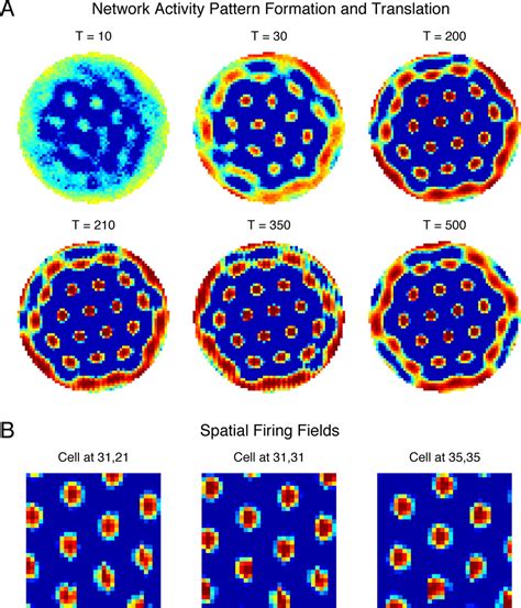 A Spin Glass Model of Path Integration in Rat Medial Entorhinal Cortex ...