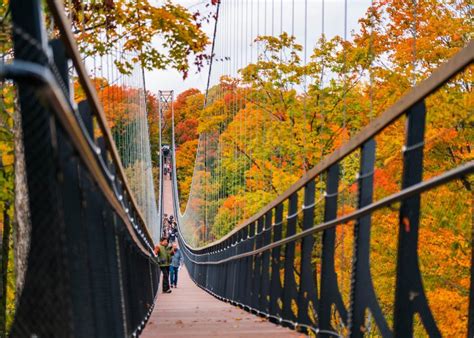 SkyBridge Michigan | Michigan