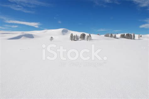 Winter In Hayden Valley Stock Photo | Royalty-Free | FreeImages