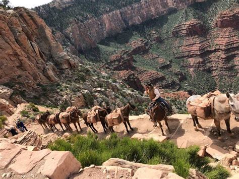 What to Know Before Hiking The South Kaibab Trail at the Grand Canyon ...