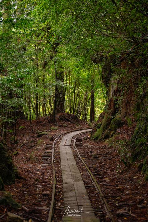 Photo spots in Kagoshima | Never Stop Travelling