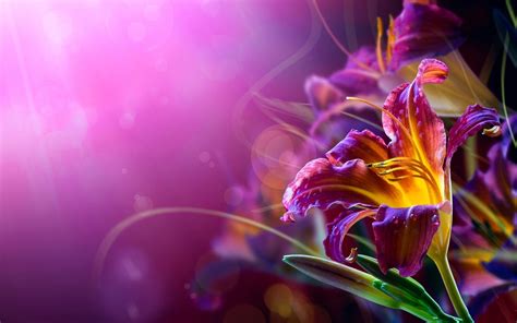 abstract flowers | Flower desktop wallpaper, Abstract flowers, Flower backgrounds