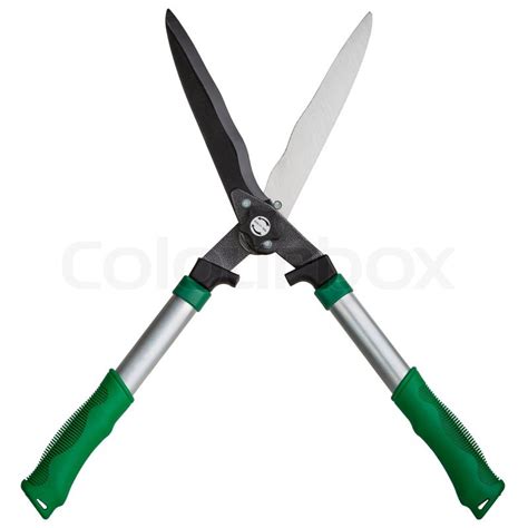 Garden scissors | Stock Photo | Colourbox