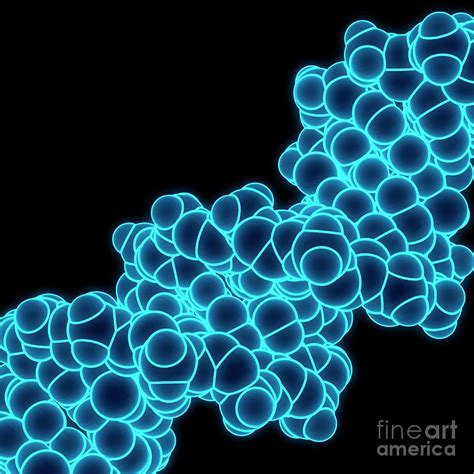 B-dna Molecule Photograph by Laguna Design/science Photo Library - Fine ...