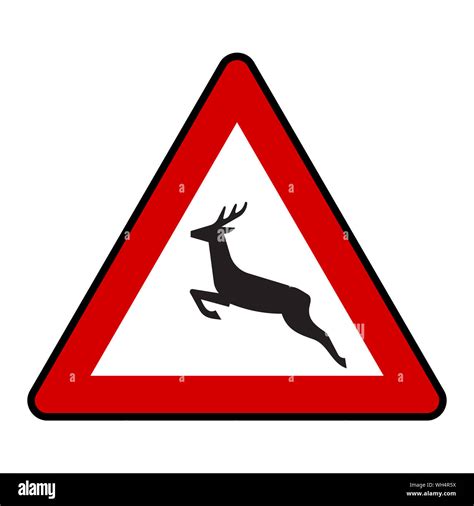 Traffic sign - Wild animal crossing road symbol in red triangle. Great ...