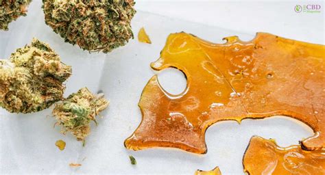 The HIGHLY Anticipated Debate: Shatter Vs Wax