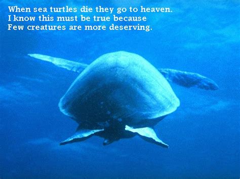 Sea Turtle Heaven--A Poem--Page 1