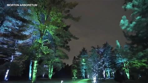 Morton Arboretum events: Illumination showcases 2022 Christmas tree ...