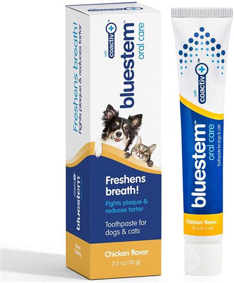 Toothpaste for Cats with Gingivitis: 5 Editor Picks and Buying Guide - Top Cat Breeds